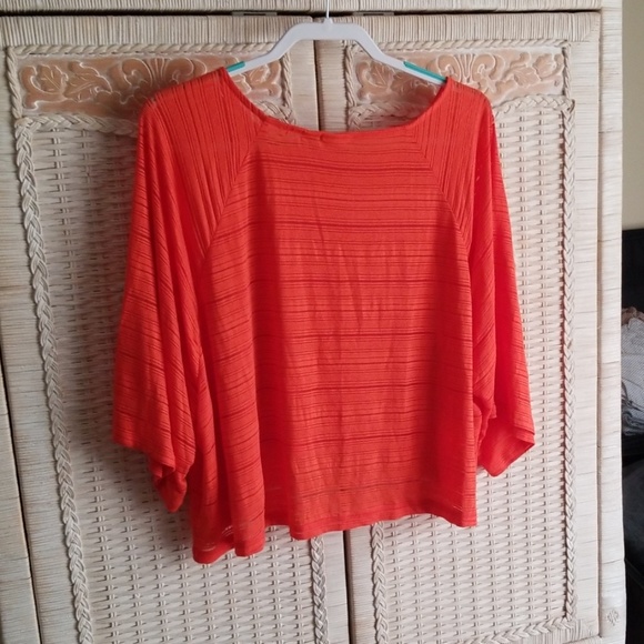 Cato's cropped top. - Picture 3 of 3